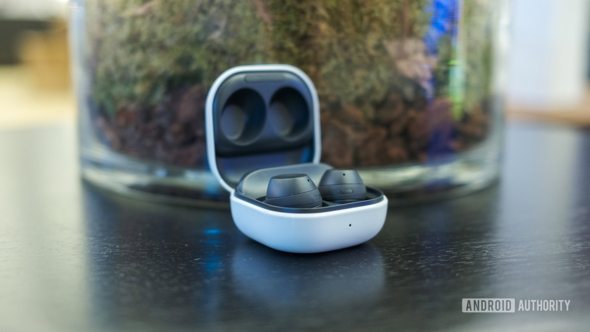 samsung galaxy buds fe in case