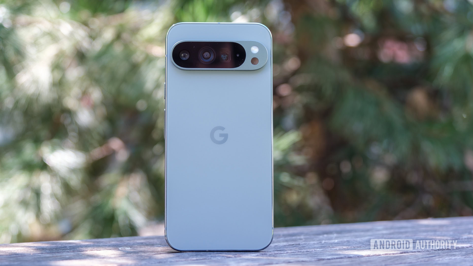 Google Pixel 9 Pro XL rear hero