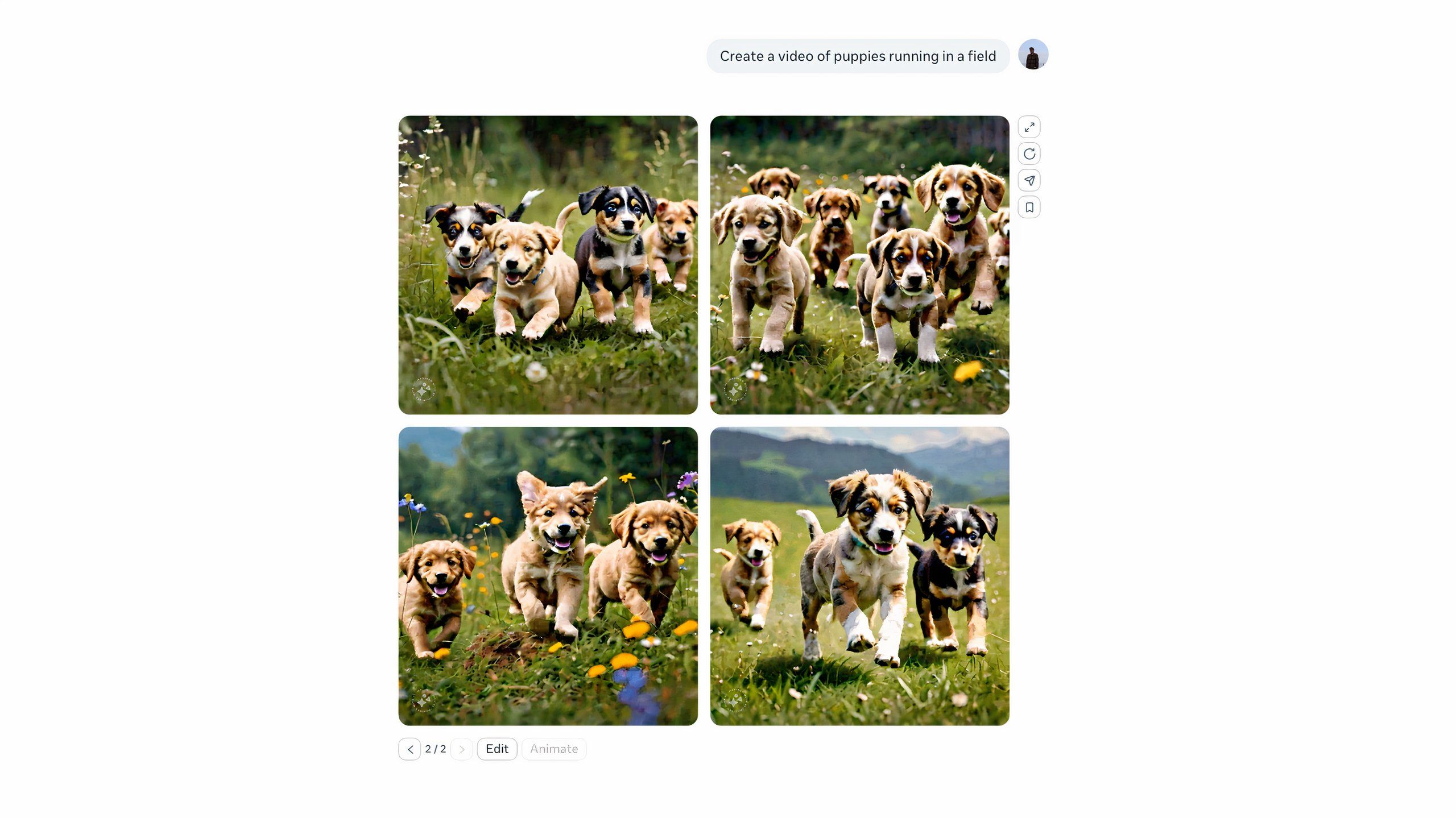 A selection of video clips of puppies running through a field.