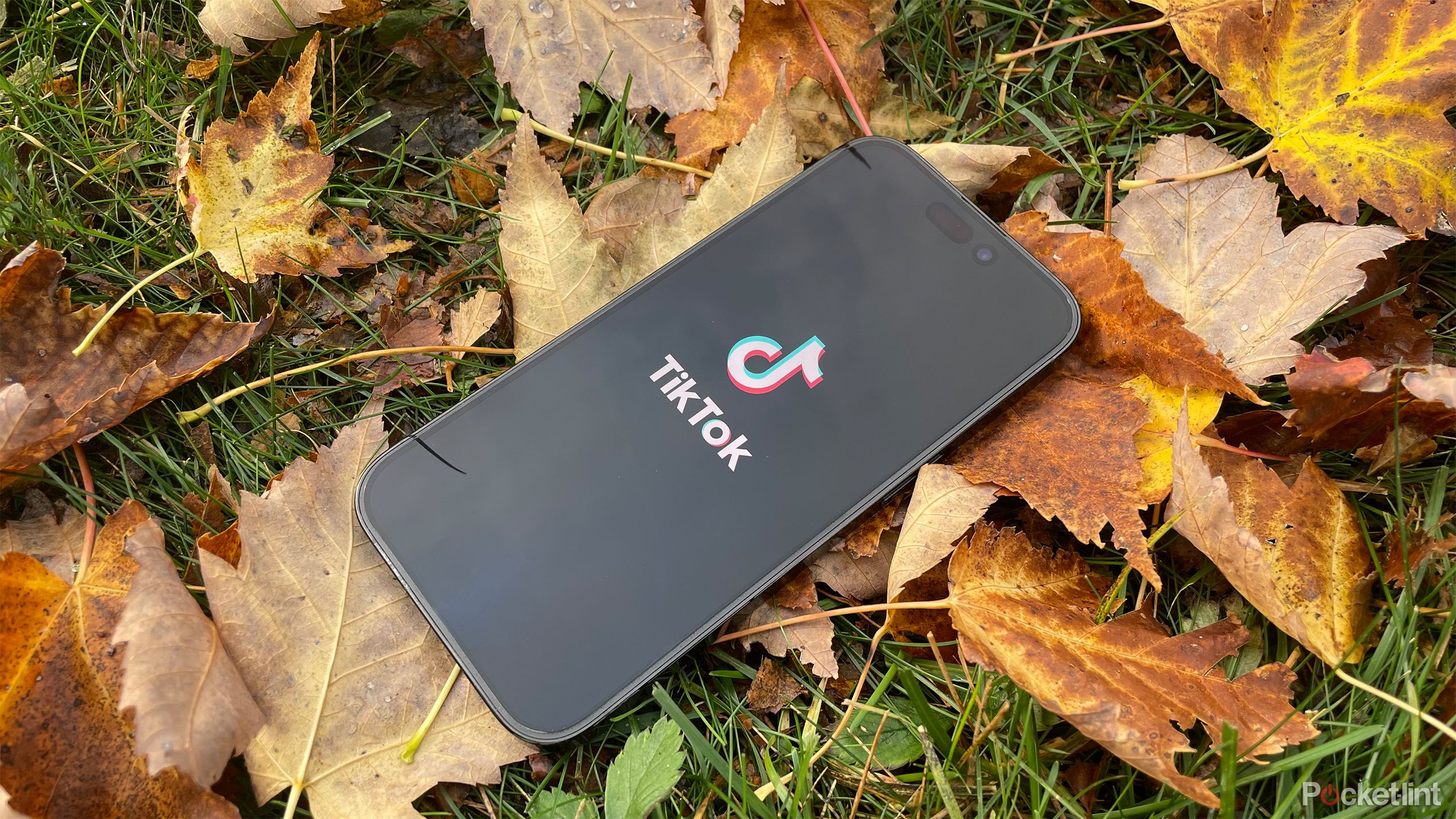 TikTok app on iPhone in leaf pile outside