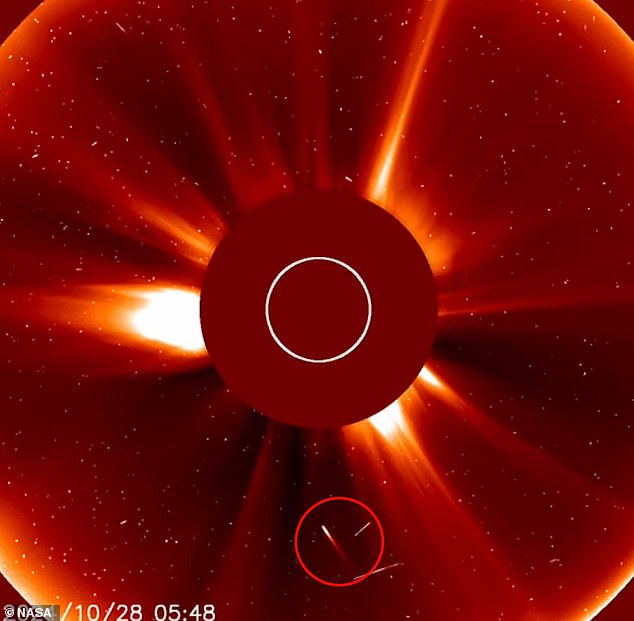 The comet, known as a sungrazer, took a straight path Earth's star and vaporized in the fiery orbit