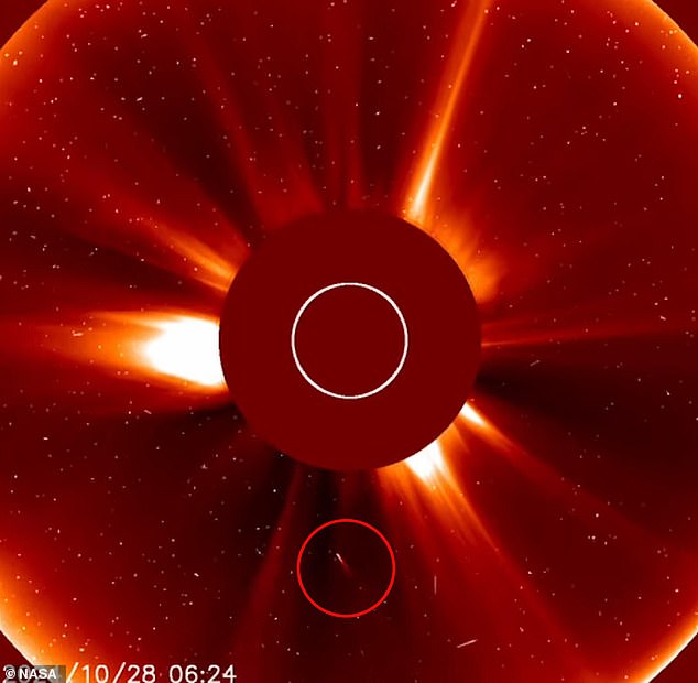 NASA's Solar and Heliospheric Observatory (SOHO) witnessed the final moments of the 'Great Halloween Comet' as it soared closer to the sun