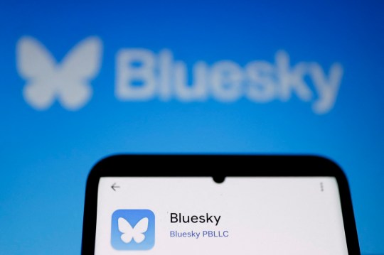 A phone with the Bluesky app, featuring its white butterfly silhouette logo, held in front of a blue wall with the branding plastered across.