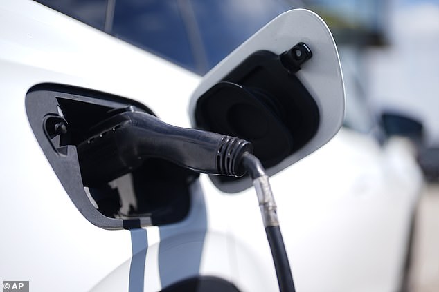 The UK government wants 22 per cent of all new vehicles sold to be purely electric by the end of the year - a target that does not look set to be met