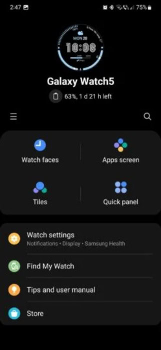 Galaxy Wearable app home old