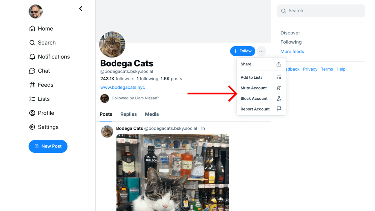 Bluesky social media Mute Block options screenshot
