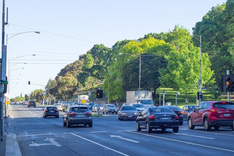 Cars on leafy multi-lane road