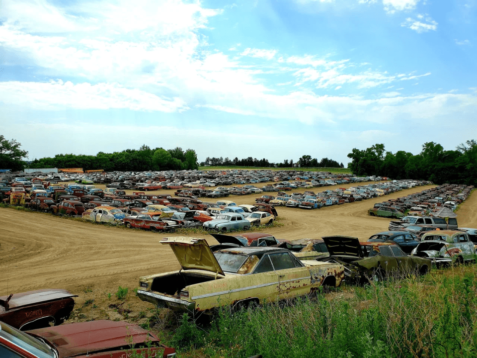 The cars are neatly organised into sections, making it easier to find exactly what you're after