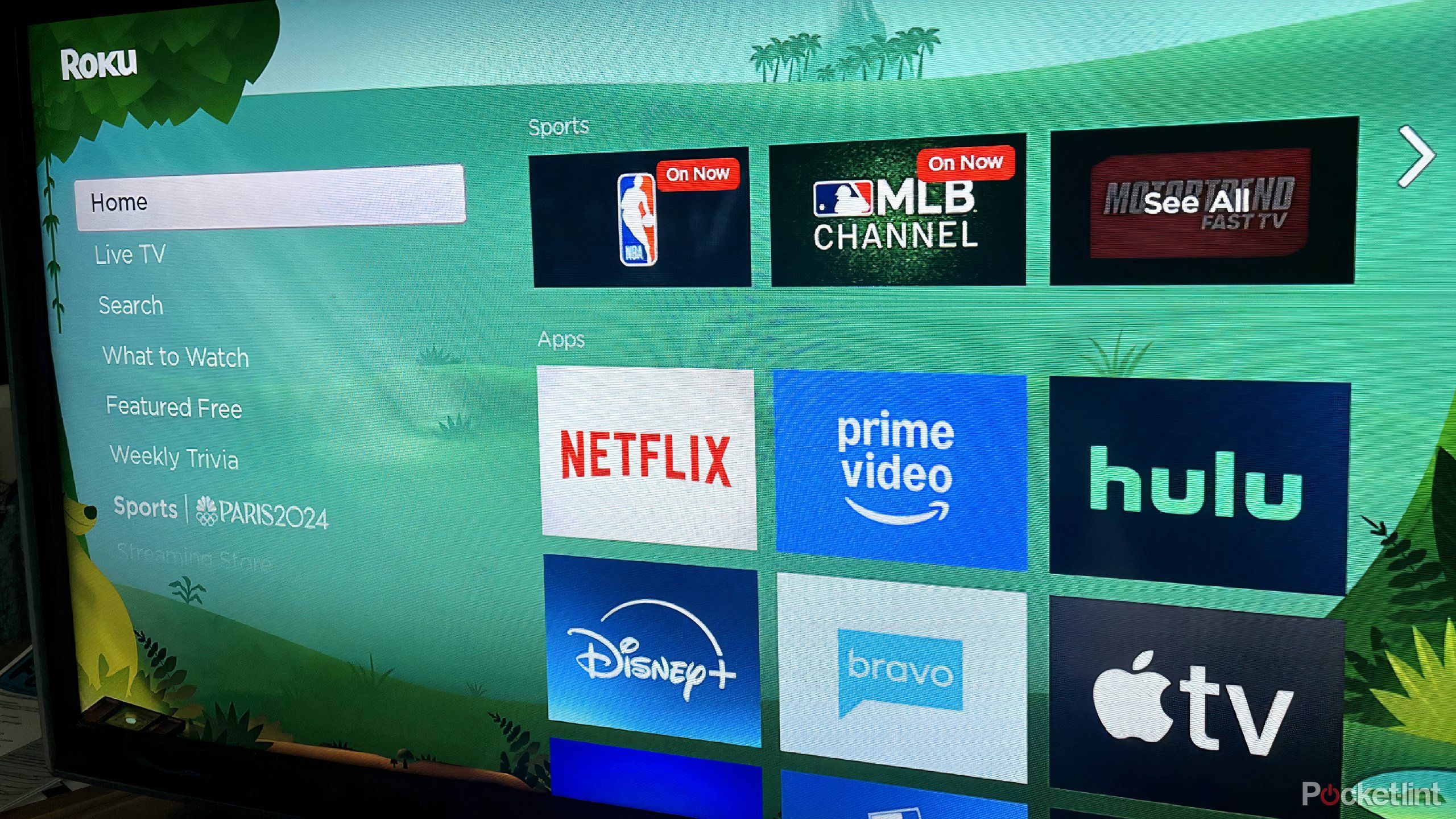 roku home screen