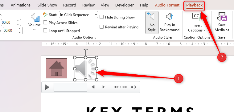 PowerPoint's voice recording icon, with the Playback tab in the ribbon selected.