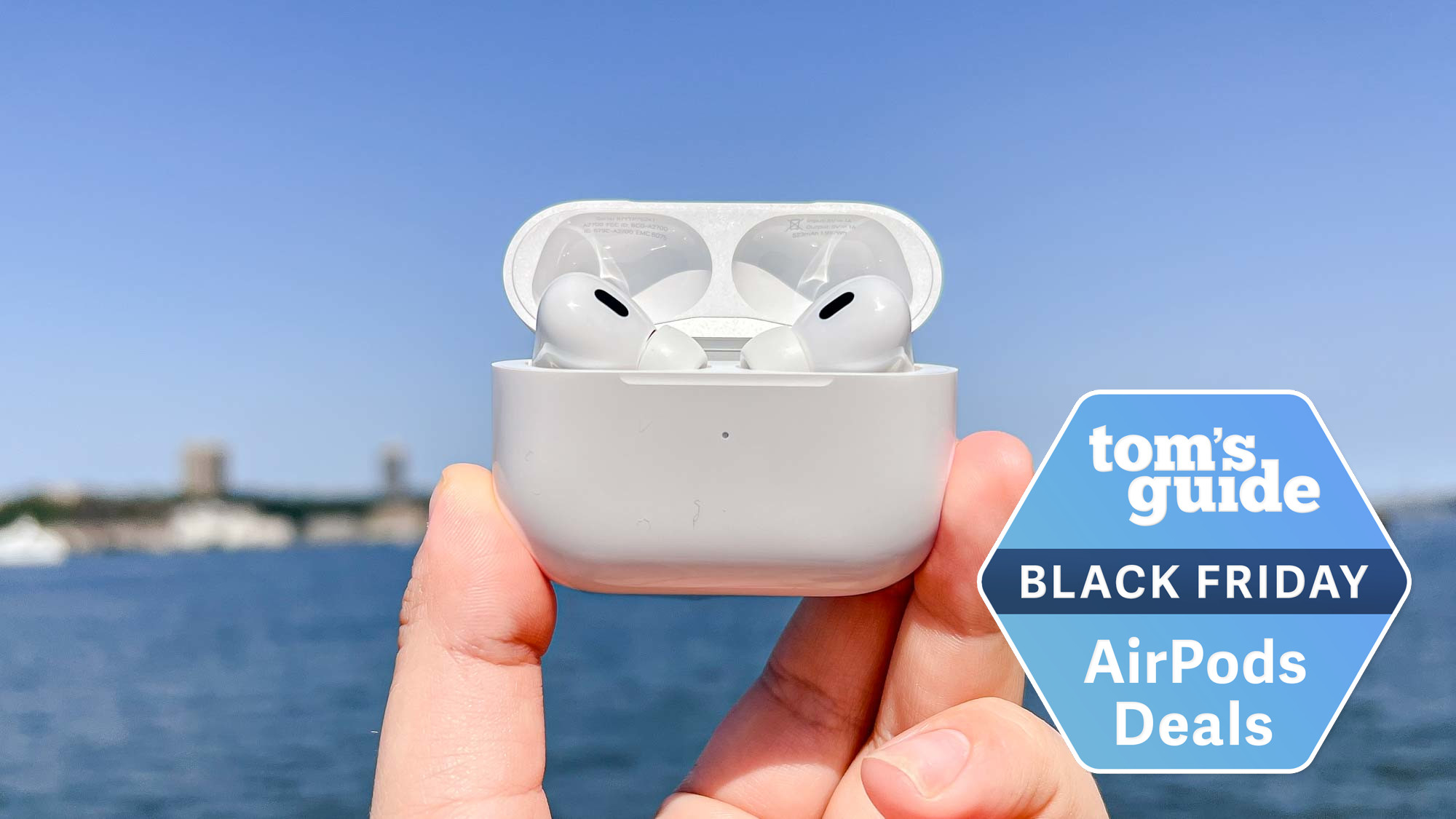 Apple AirPods Pro 2 held in the case outside in front of a body of water