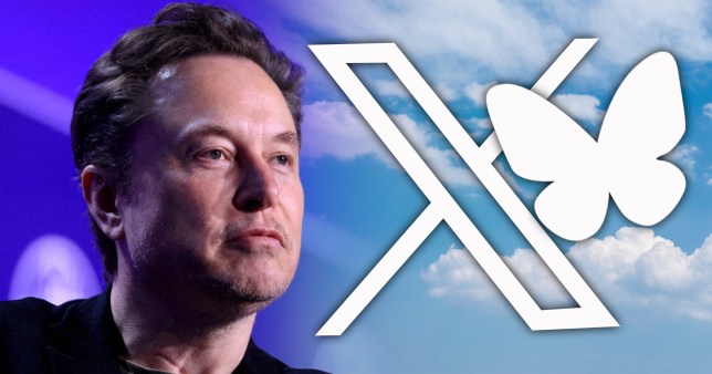 Elon Musk looks off into the distance, with the X logo and the butterfly logo of social media platform Bluesky next to him, imposed over a blue sky with white clouds.