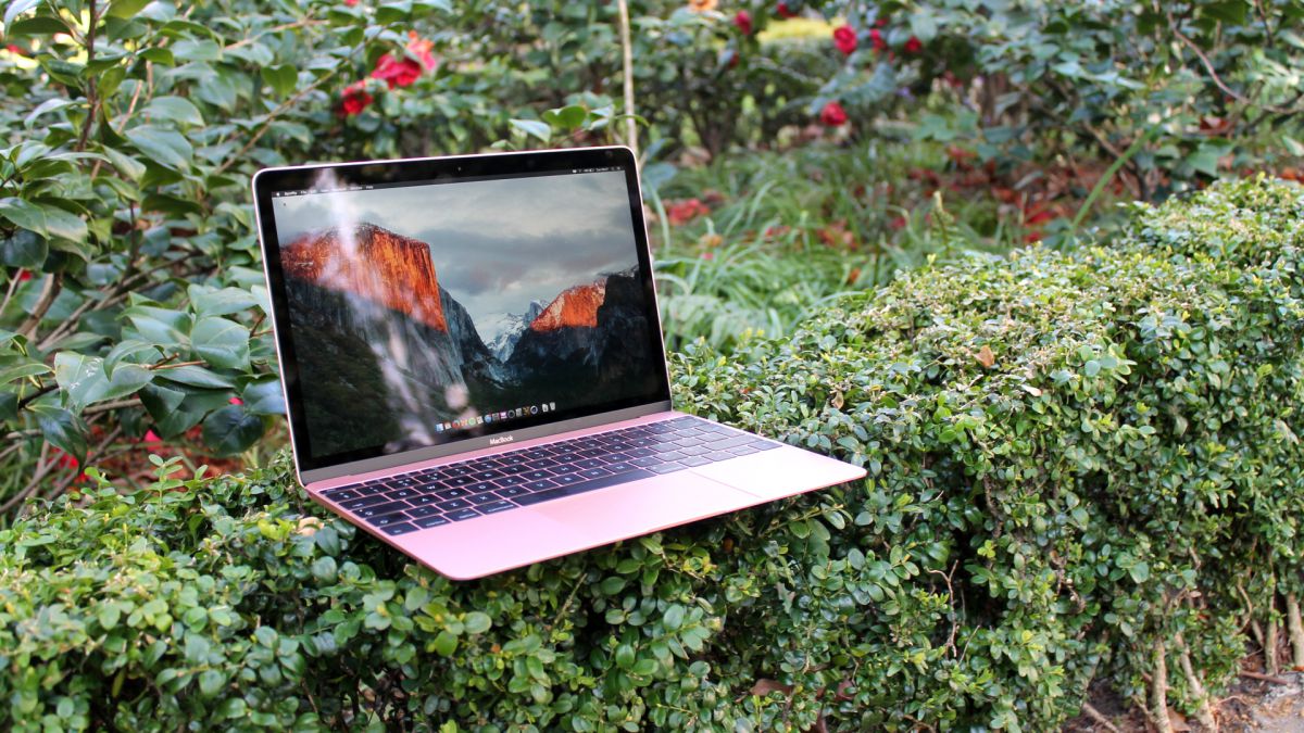 The MacBook (2016) 12-inch sat on a bush