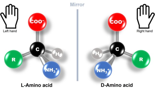 Scientists issue dire/urgent warning over ?mirror bacteria? that could trigger global disaster