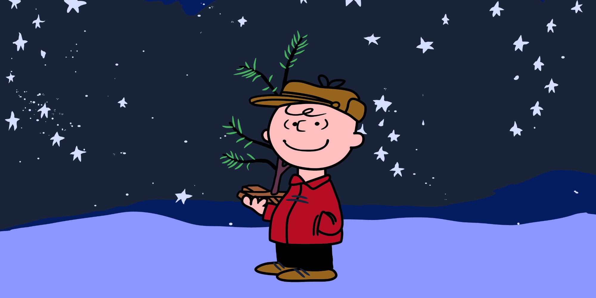 Peanuts Charlie Brown Holiday Christmas