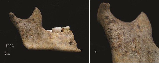 EMB 0001 Cannibals Bronze Age Britons 