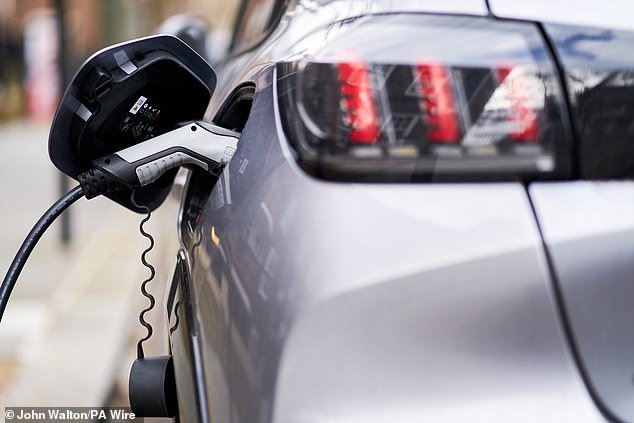 Electric cars must make up at least 22 per cent of sales for car makers this year, a figure that will rise to 80 per cent by 2030