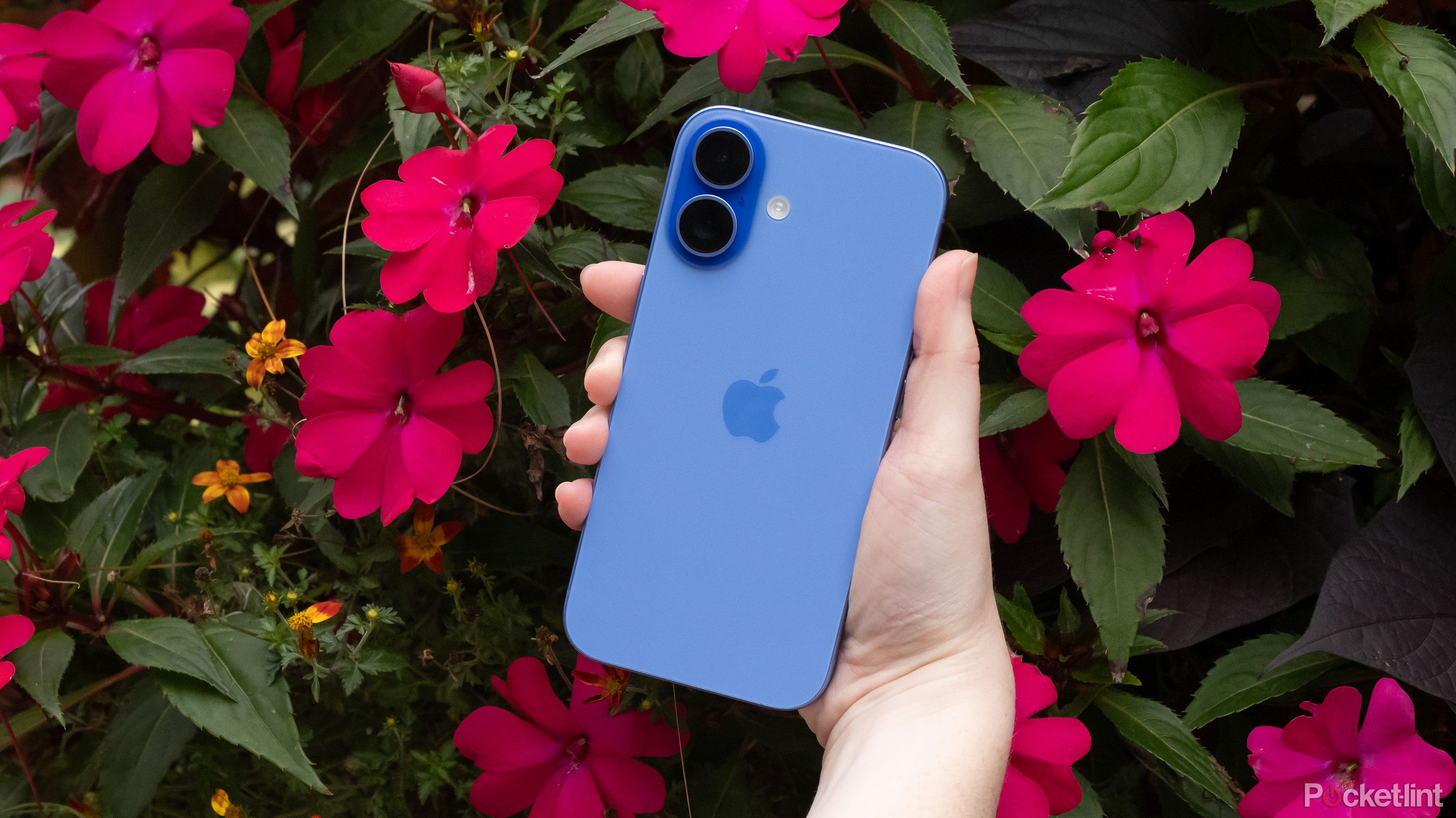 Apple's iPhone 16 being held in front of flowers