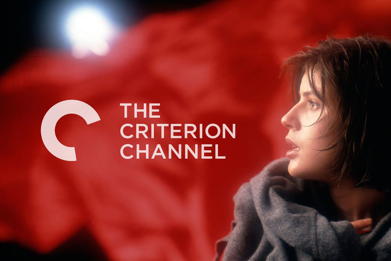 What Is The Criterion Channel And Why Is It Perfect For True Film Lovers image 1