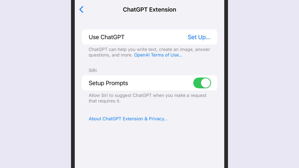 chatgpt extension options