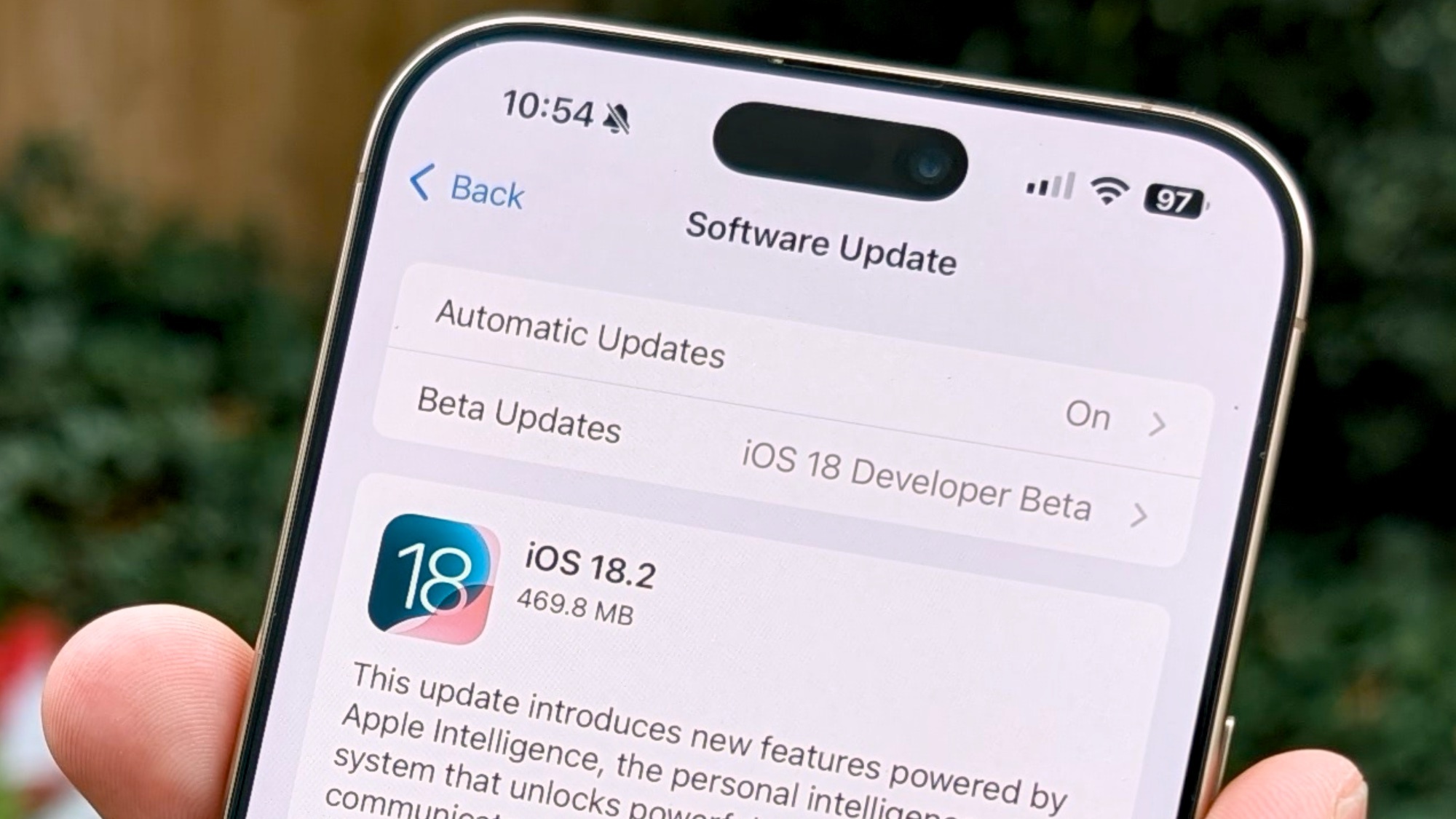 Software Update menu on iPhone showing iOS 18.2 ready to download