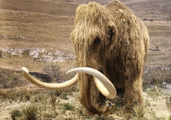 Woolly mammoth