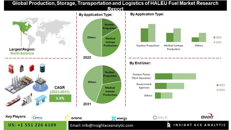 Production, Storage, Transportation And Logistics Of The HALEU Fuel Market