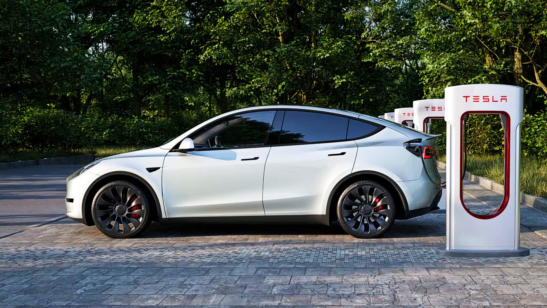 A white 2024 Tesla Model Y small electric SUV is charging. 