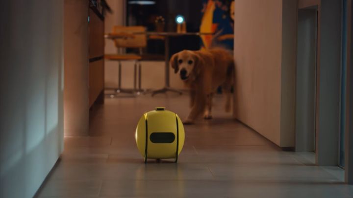 Samsung Ballie being chased by a dog.