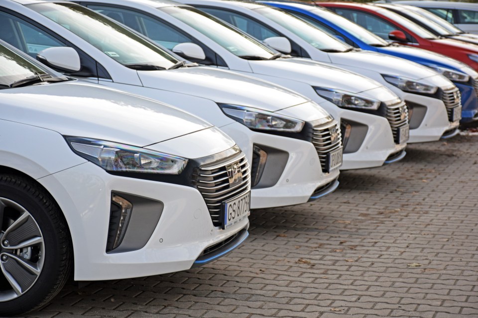 Several white Hyundai Ioniq Hybrid cars parked in a row.