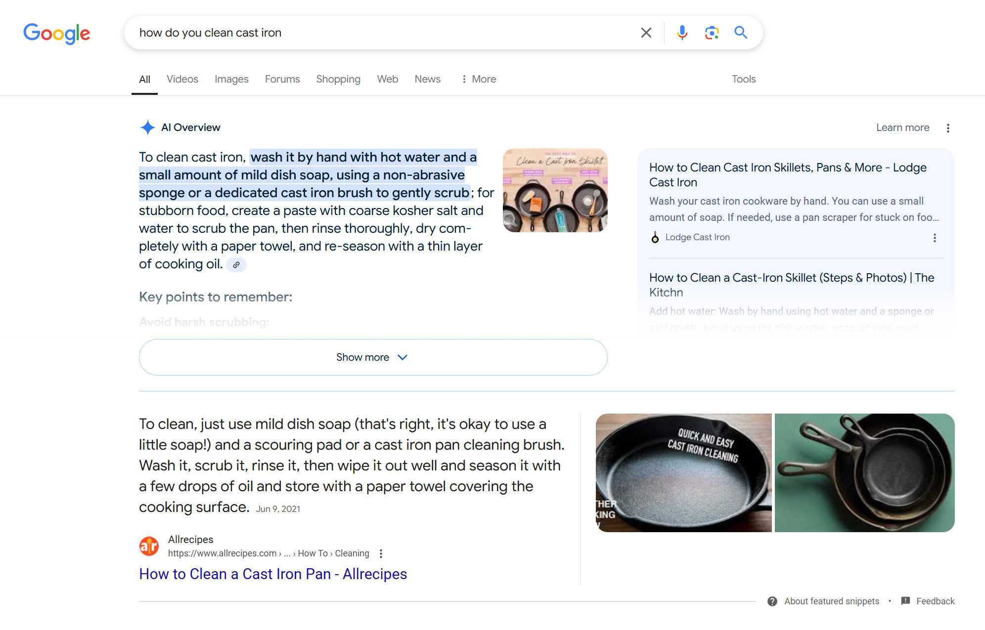 Google Search without cursing, and AI Overviews on