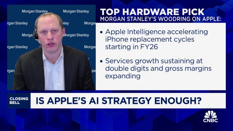 Apple correction due to fundamentals, iPhone 17 upgrades expected, says Morgan Stanley's Woodring