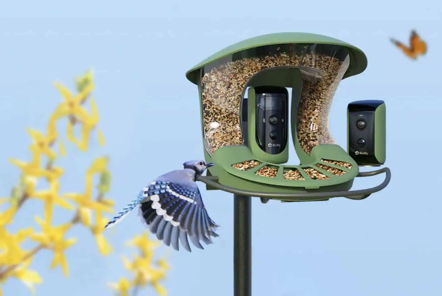 birdfy feeder duo ces 2025