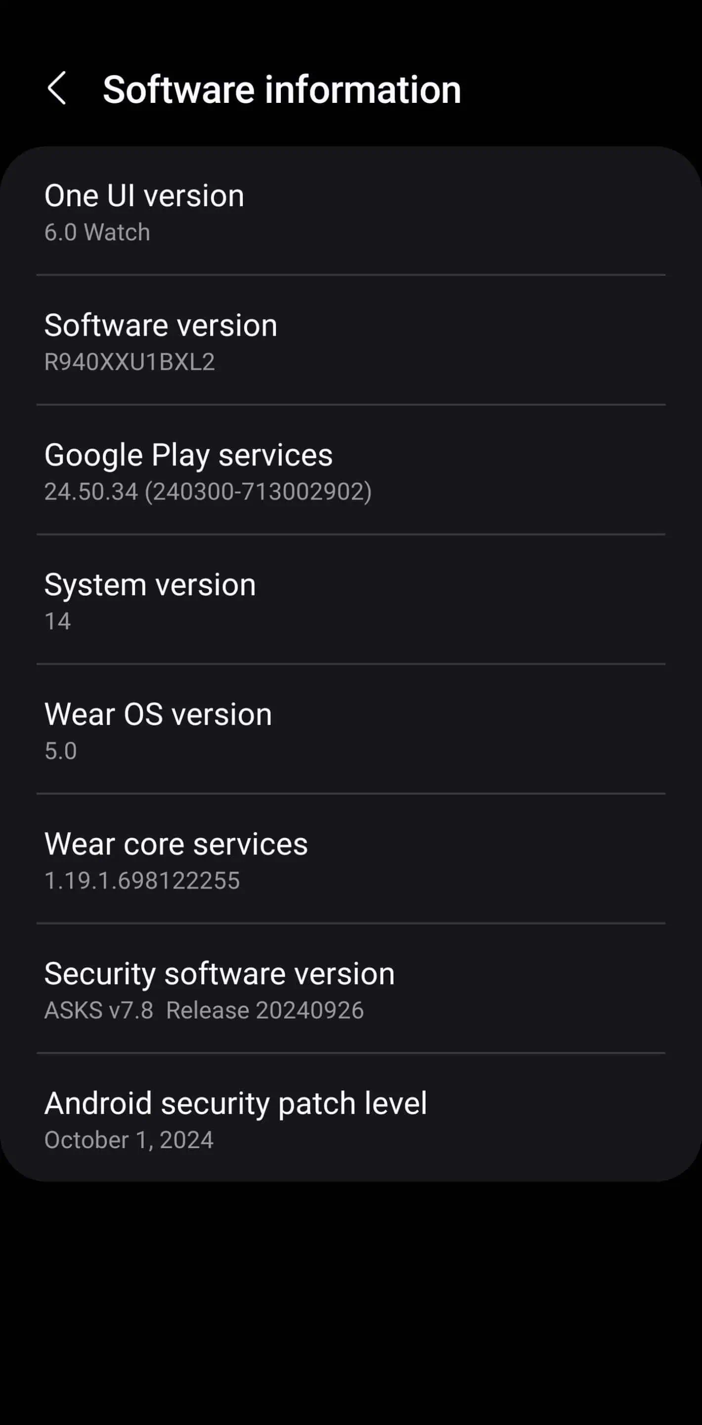 Galaxy Watch 6 first software update 2025