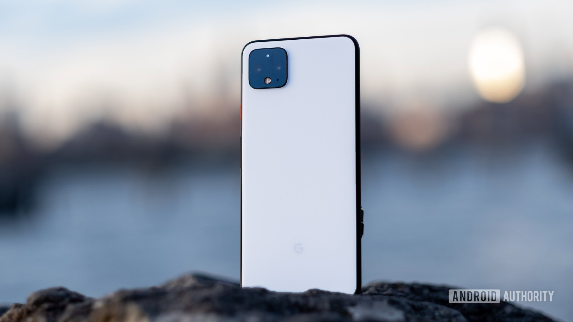 Google Pixel 4 XL back panel standing on rock 13