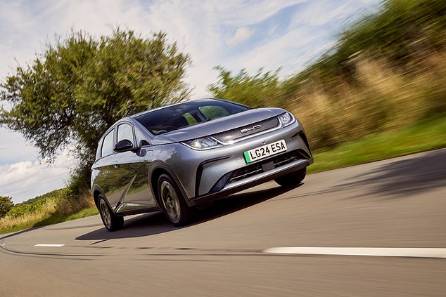 BYD amassed 8,788 sales in 2024 in its first full year in the UK - though still with a relatively small range of EVs, including the Dolphin (pictured)