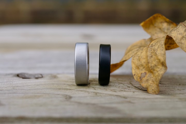 The Oura Ring 4 and the RingConn Gen 2.