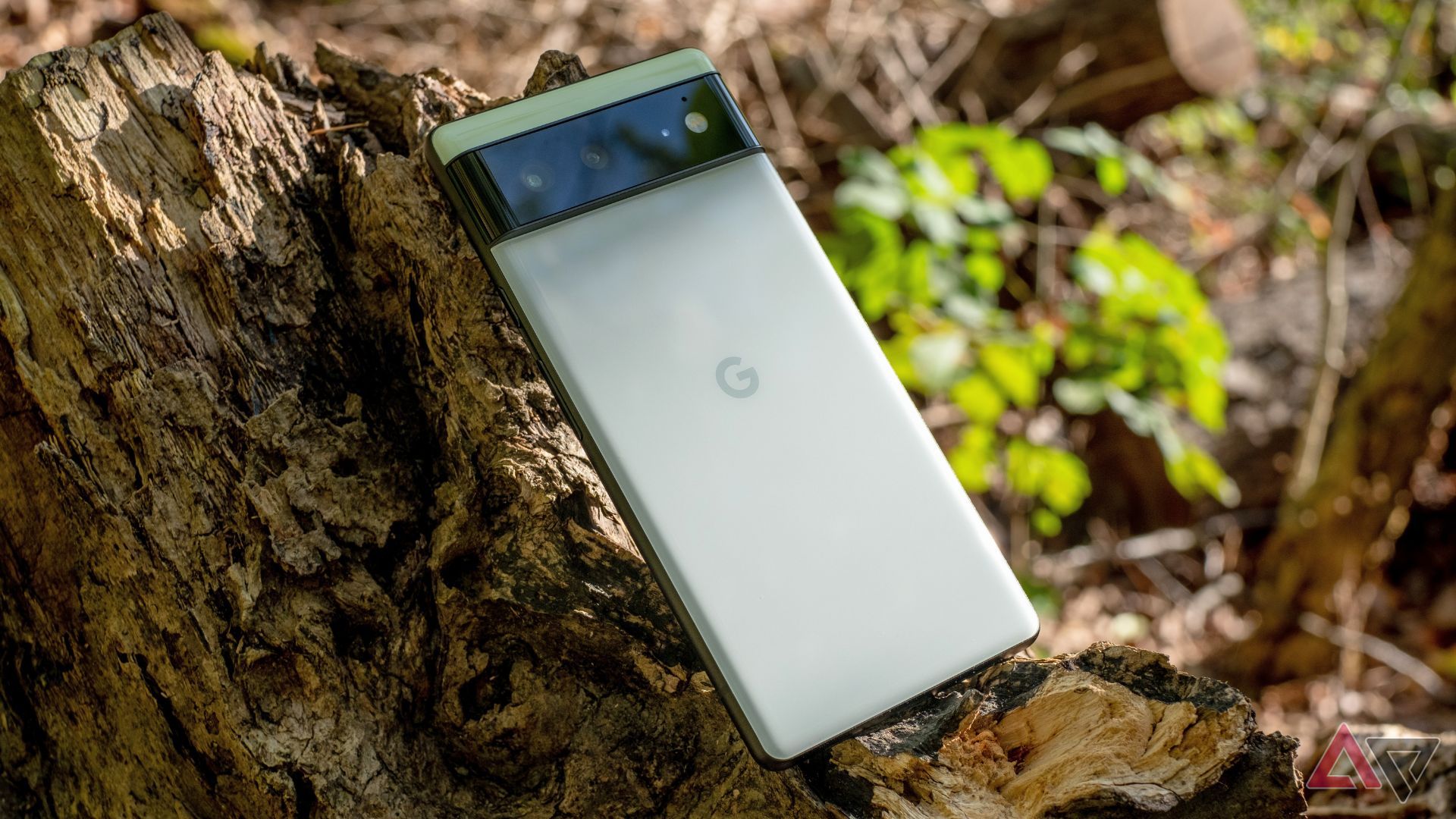 The Google Pixel 6 sitting on a gnarled log.