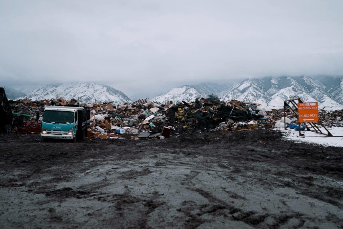 The Logan Landfill, Home Of The Last Lisas.