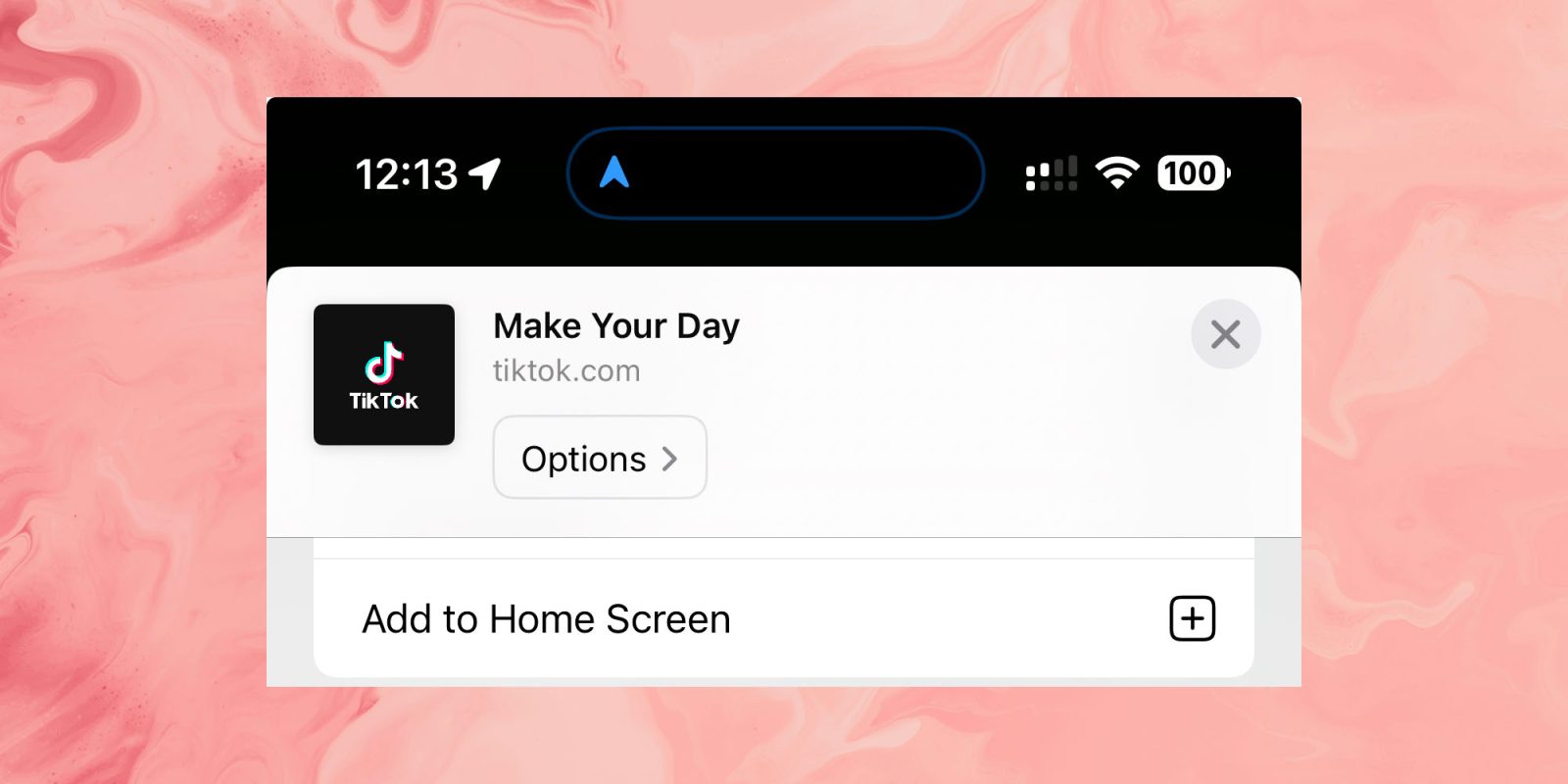 Android users who want TikTok would be best advised to copy iPhone users | Screengrab of option to save a website to the Home Screen