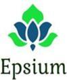 Epsium Enterprise logo