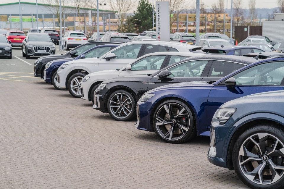 Row of Audis parked at a dealership.