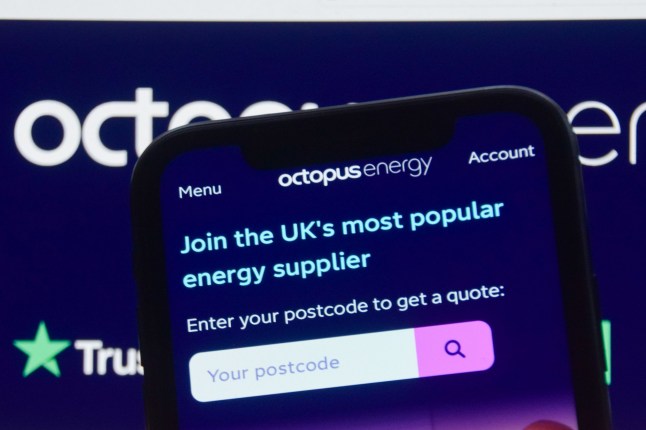 Mandatory Credit: Photo by Vuk Valcic/ZUMA Press Wire/Shutterstock (15106587b) Detail of the Octopus Energy website as the household energy supplier overtakes British Gas to become the largest supplier in the UK. Octopus Energy become UK's largest household energy supplier, London, England - 18 Jan 2025