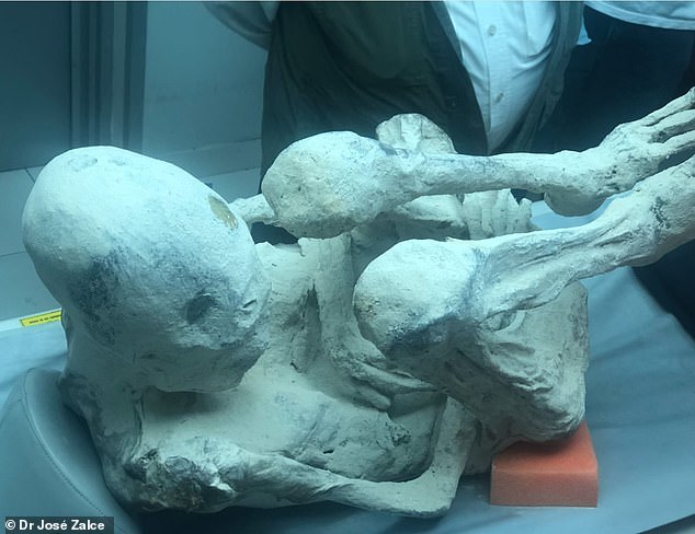 Researchers have been studying these 'alien mummies' for about six years, claiming them to be 100 percent real