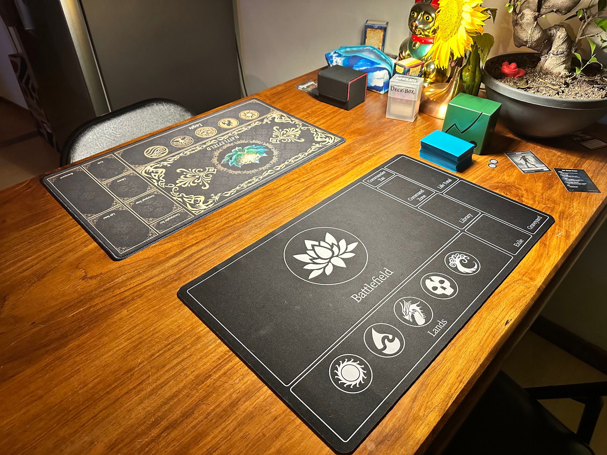 A pair of Magic The Gathering play mats bought from Temu