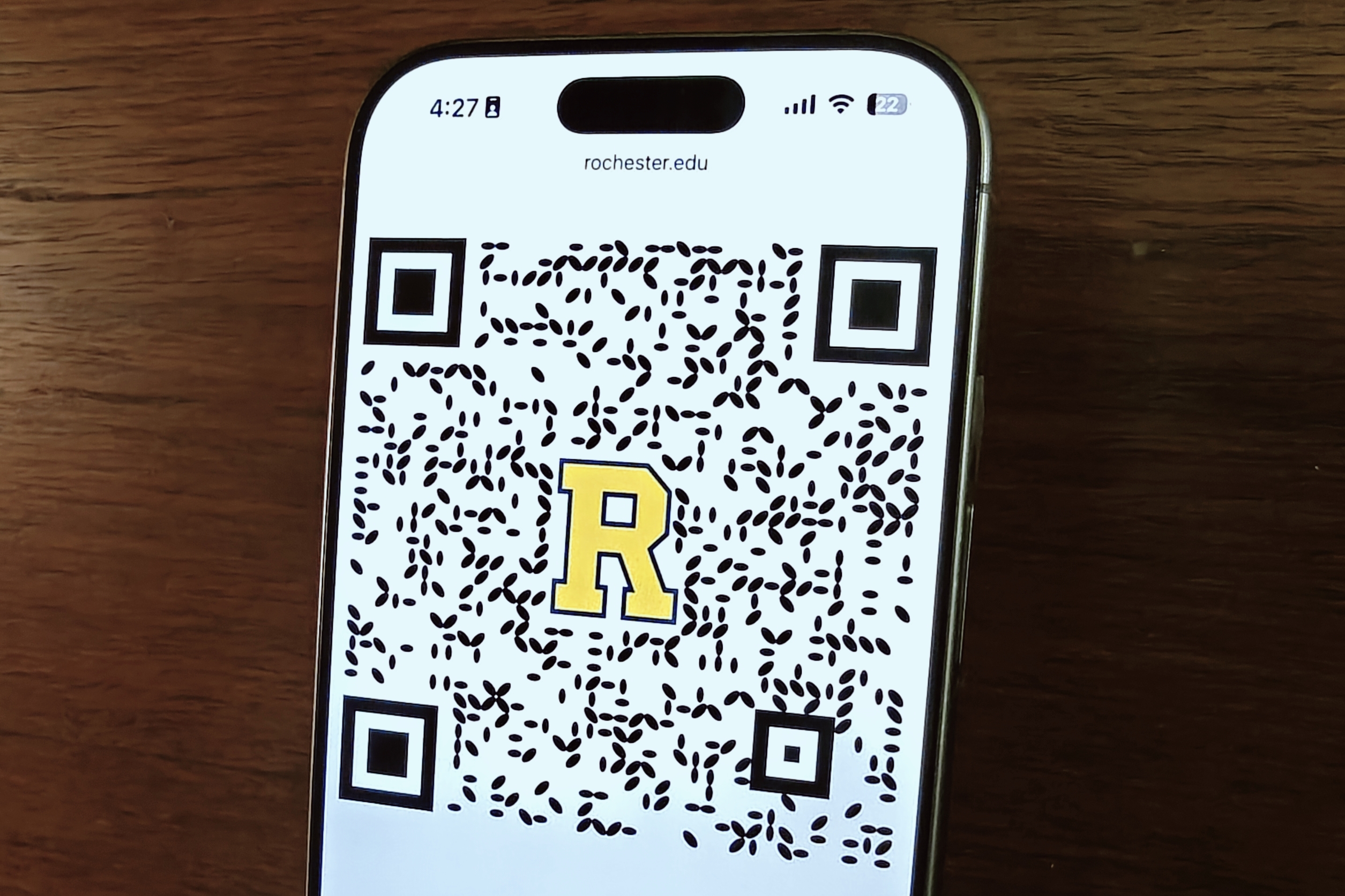 Sample of an SDMQR code appearing on an iPhone screen.