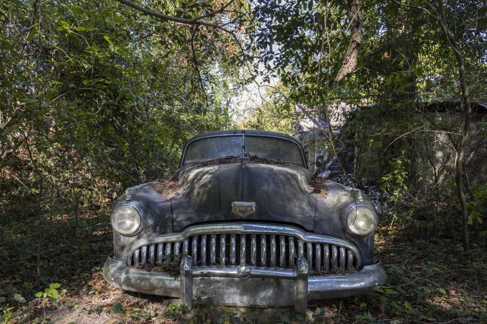 Overgrown Buick in woods.