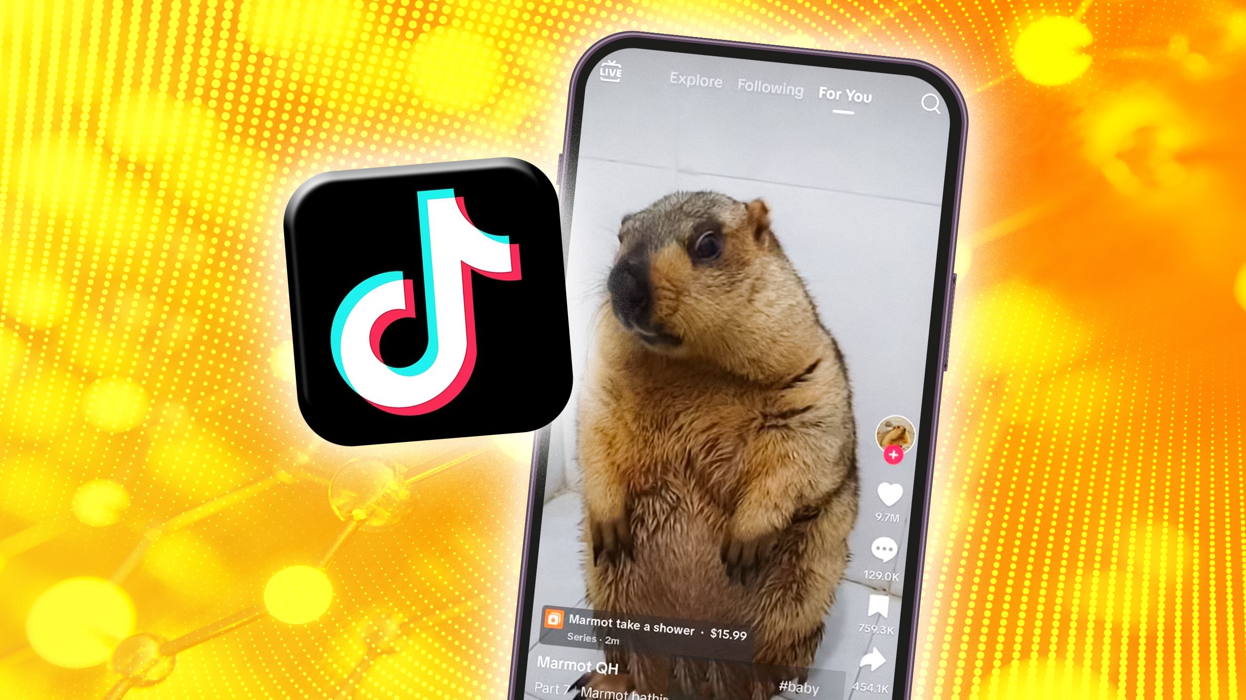 TikTok for you page featuring a marmot beside the app icon. 