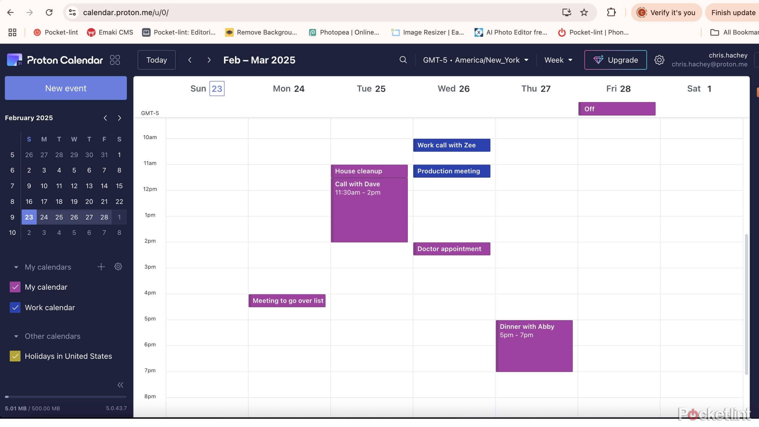 Proton calendar screenshot with several meetings on it. 