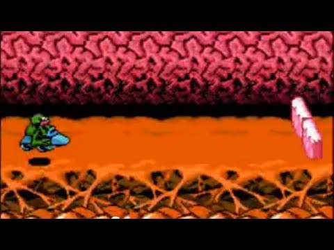 The turbo tunnel level in Battletoads.